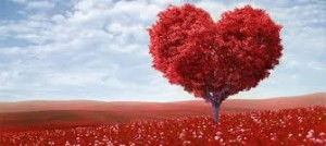 psicologo psicoanalista malaga terapia de pareja