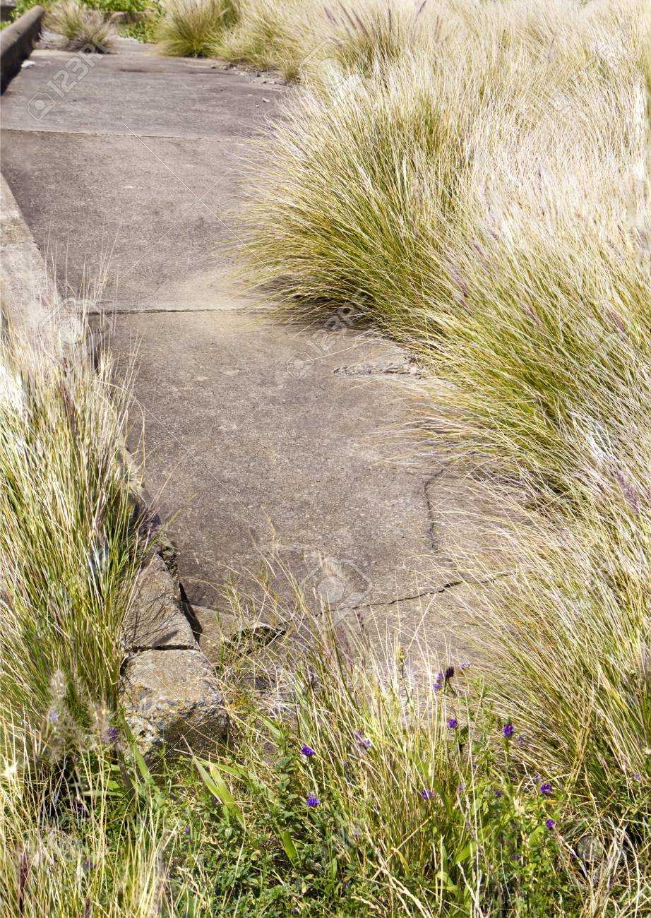 carácter Genoveva Navarro Psicoanalista